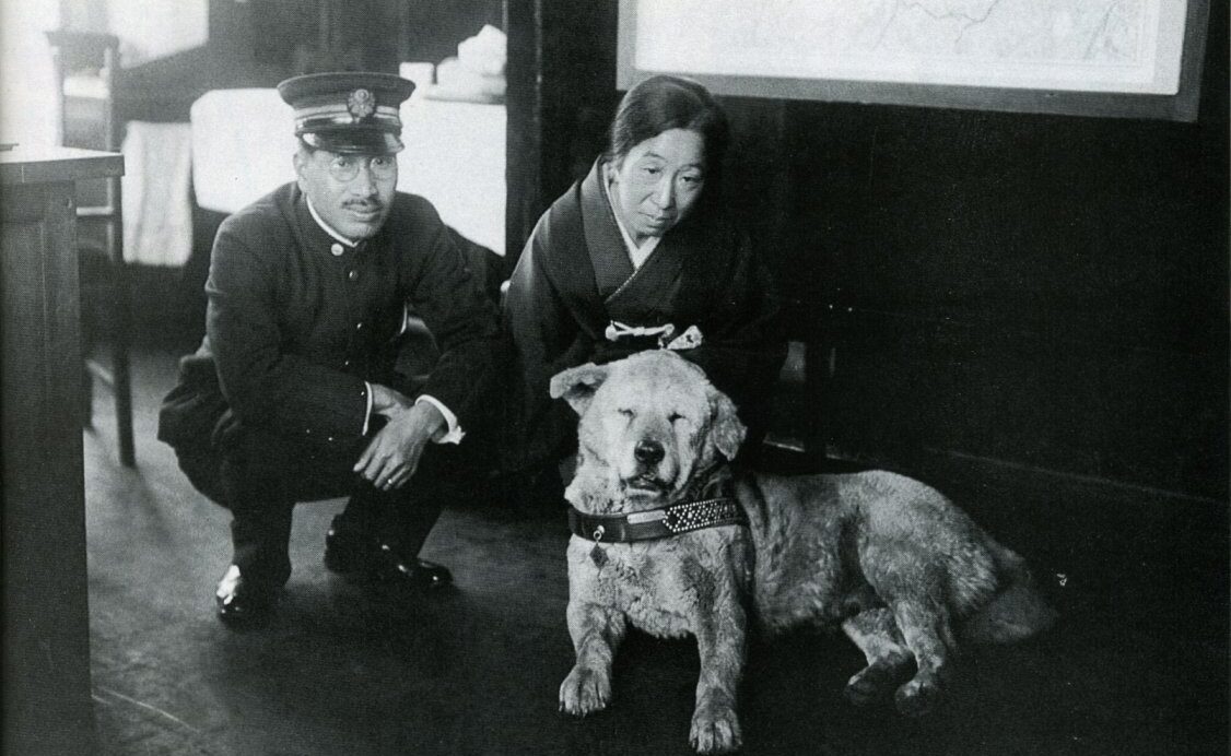 Cainele Hachiko