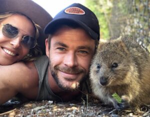 quokka, chris hemsworth, animal de companie