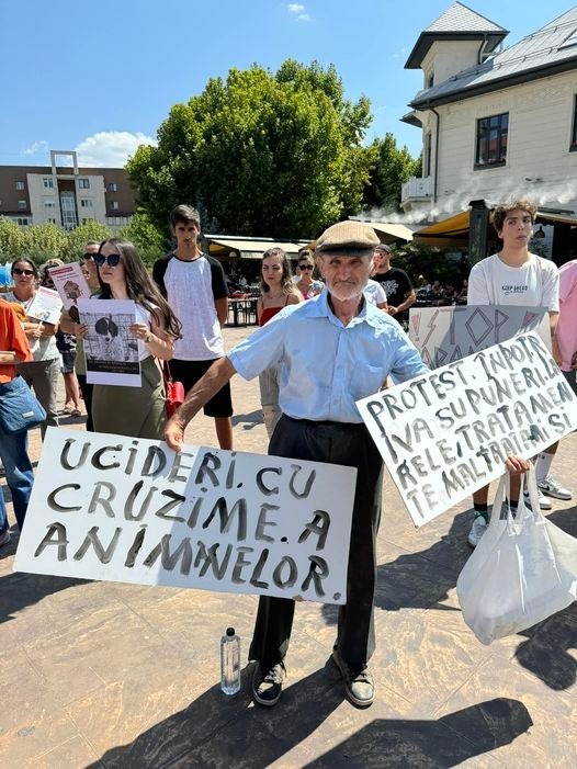 protest, batran cu semne de protest, targu jiu 