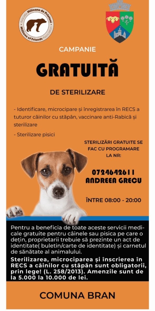 animale de companie, sterilizare, sterilizare gratuita, primaria bran 