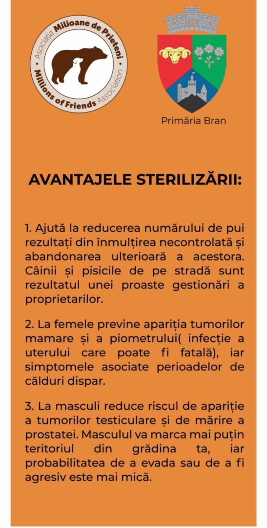 animale de companie, sterilizare gratuita, primaria bran, sterilizare caini si pisici 