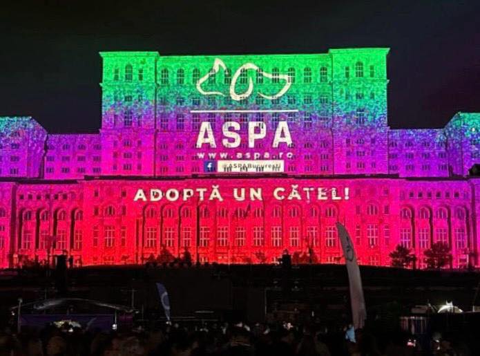 caine, adoptie, aspa bucuresti, palatul parlamentului