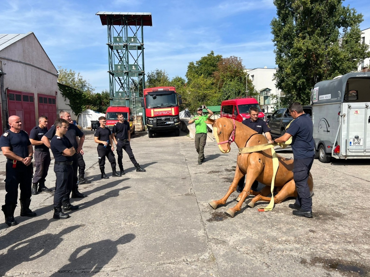 instructaj dolj, isu dolj, cai dolj instructaj dolj, cai, instructaj isu cai dolj, isu dolj 