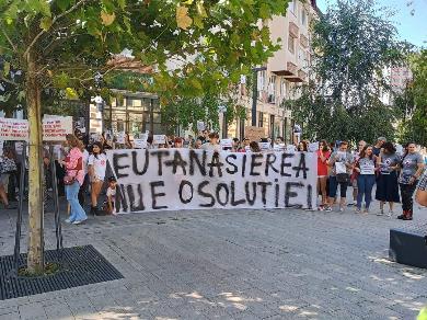 protest cluj eutanasiere