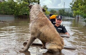 pompieri isu inundatii viitura caine animale