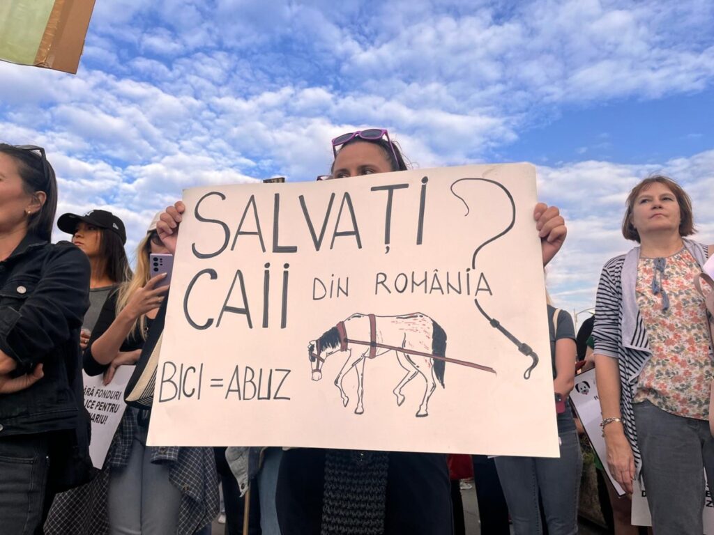 protest animale 10