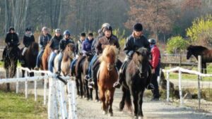 sursa foto: Coltisor de Romania