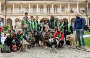 Voluntarii de la Arca lui Noe, Cluj cu câini din adăpost.