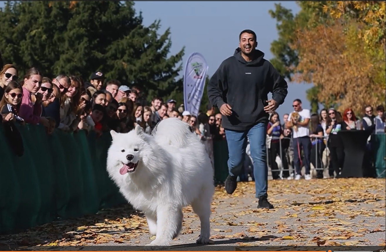 captura video cursa canina