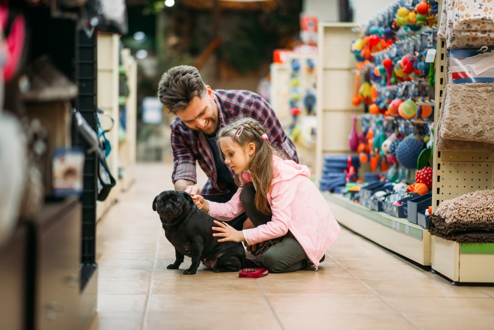 caine cu familia lui la petshop