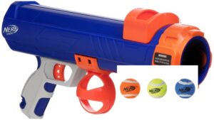 nerf-dog