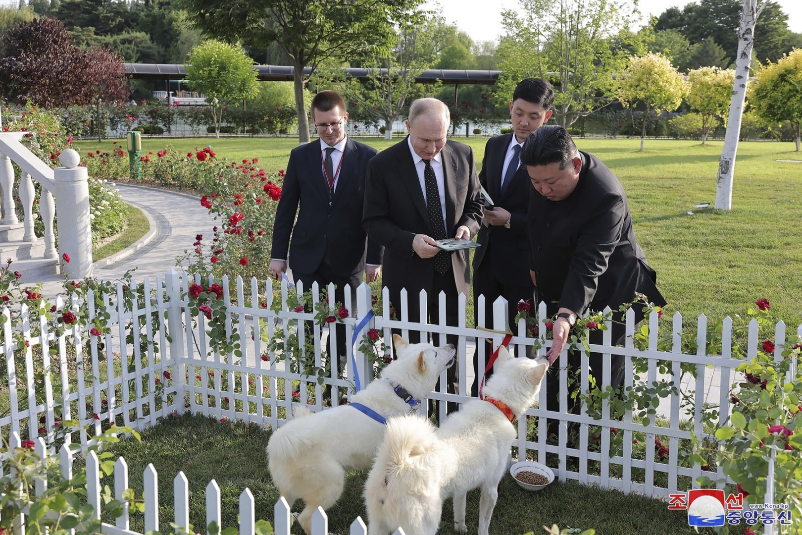 doi caini i-au fost facuti cadou de dictatorul kim jong-un aliatului sau vladimir putin in vara