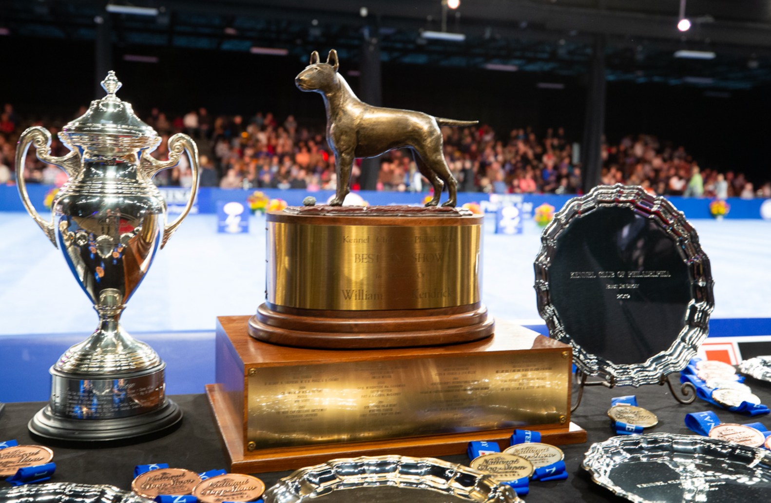 trofeul de la national dog show