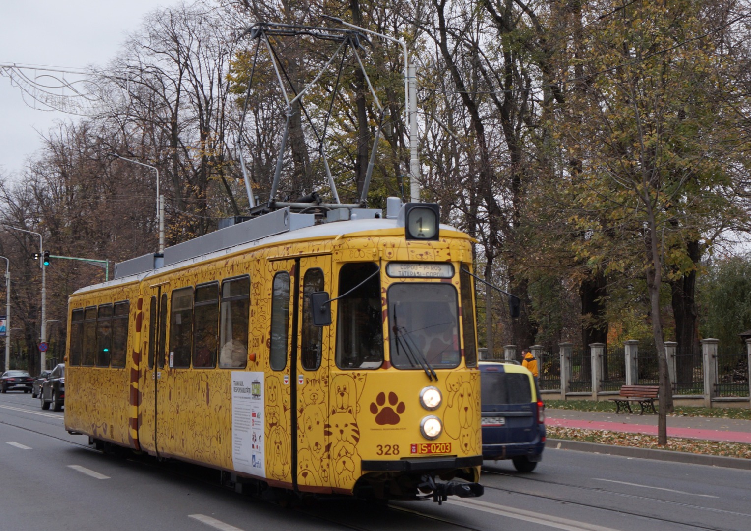 iasi, transport public, tramvai caini