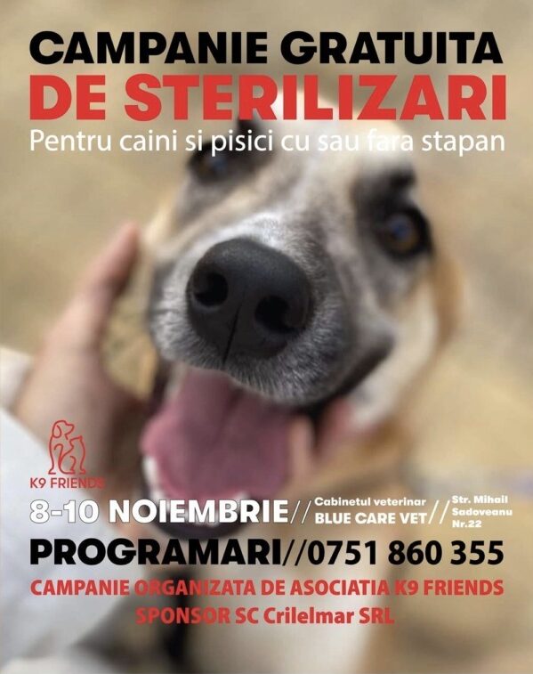 sterilizari gratuite, targul jiu, campanie de sterilizare 