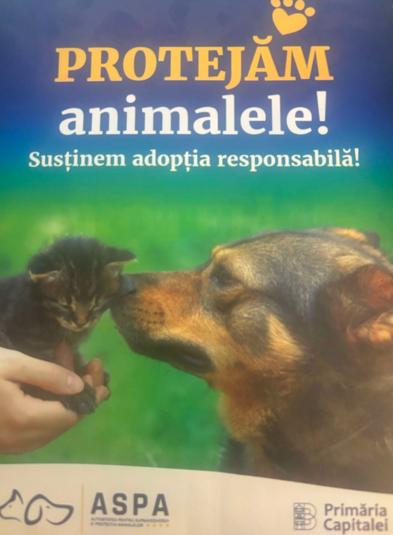 ASPA susține adopția responsabilă