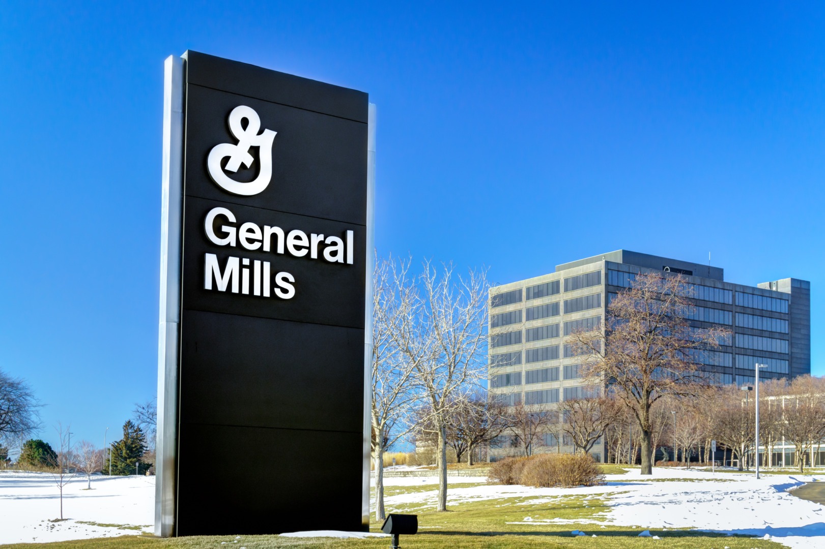 Gigantul General Mills cheltuiește 1,45 miliarde de dolari pentru achiziția mai multor branduri premium de hrană pentru animale de companie