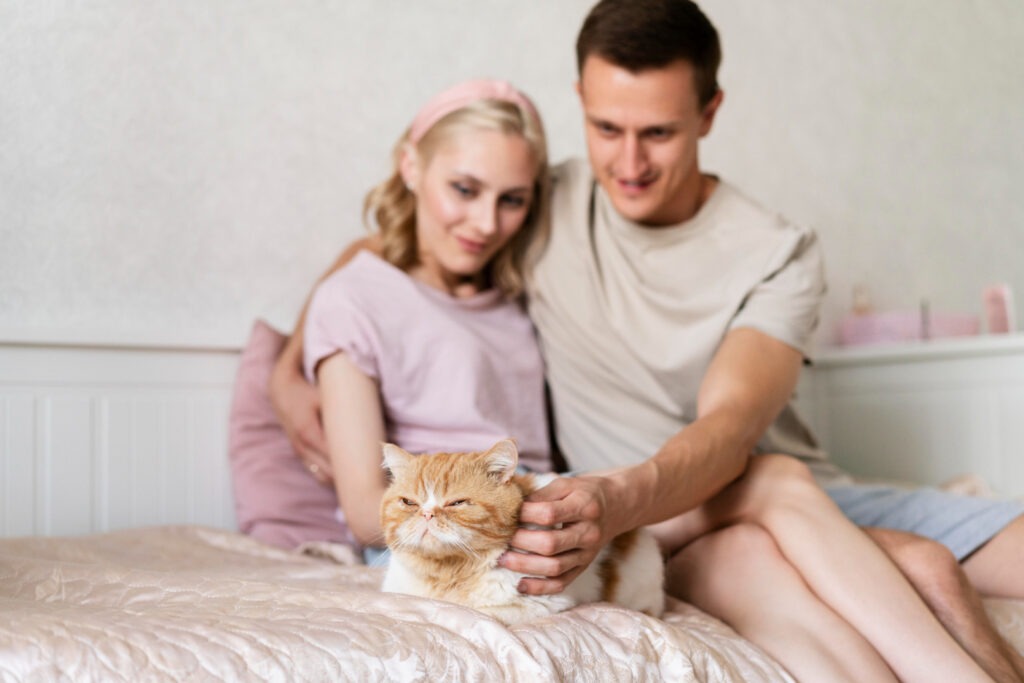 Imagine generică în care apare pisica unui cuplu.