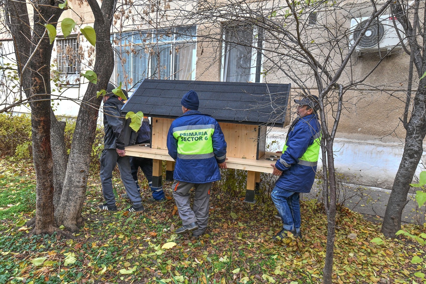 40 de căsuțe pentru pisici au fost montate în sectorul 6 din București.