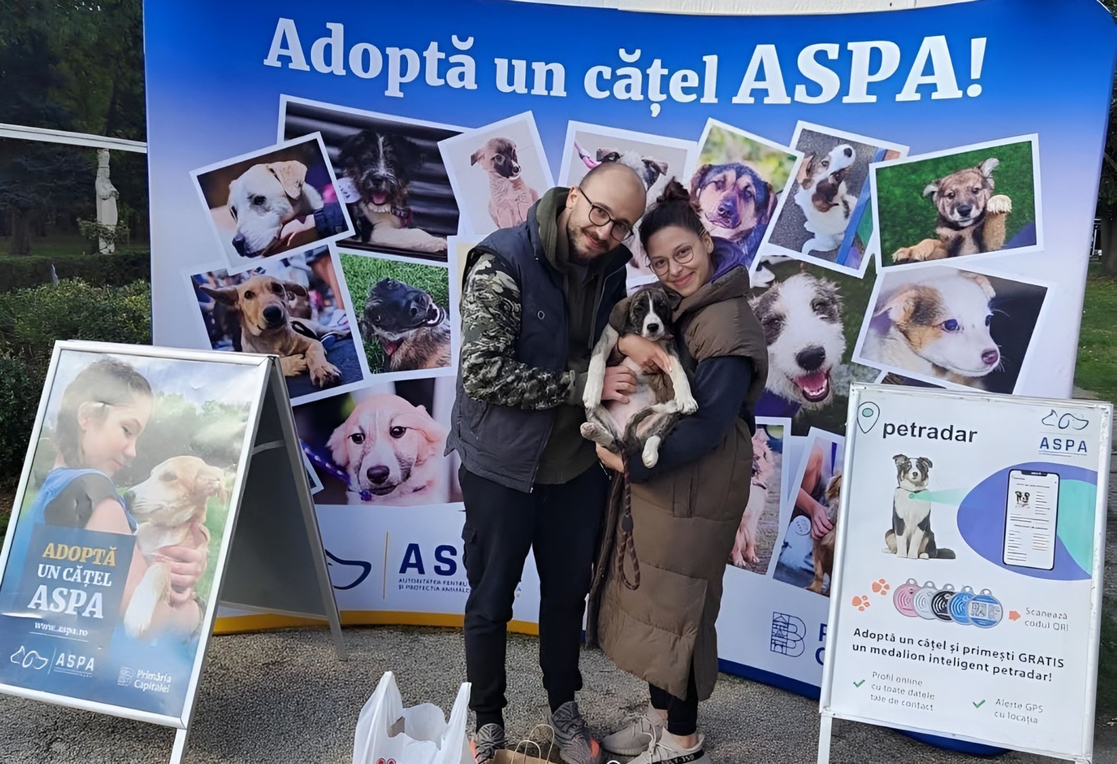 aspa-adoptii-caini