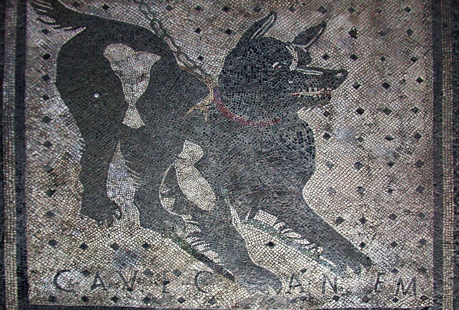 Pompeii - Cave Canem