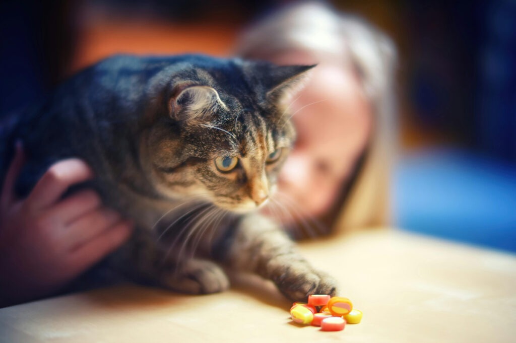 Pisică cu lăbuța pe mai multe pastile colorate