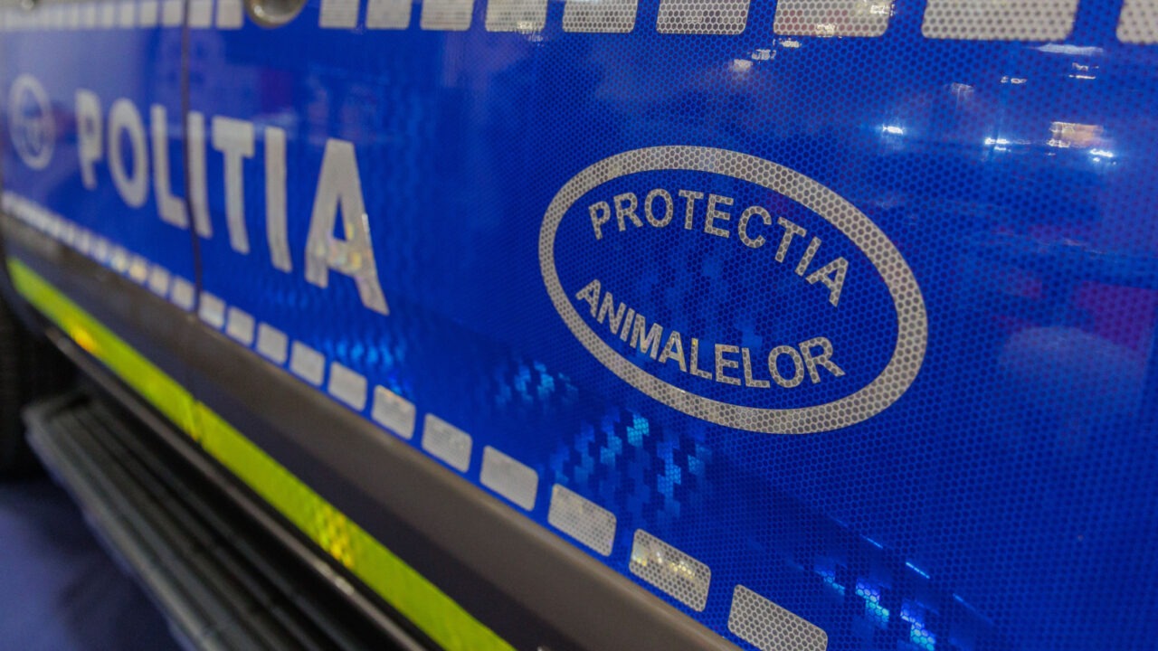 masina de la politia animalelor