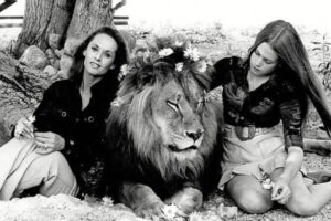 Tippi Hedren și leul Neil: O poveste de dragoste incredibilă începută pe platourile de filmare