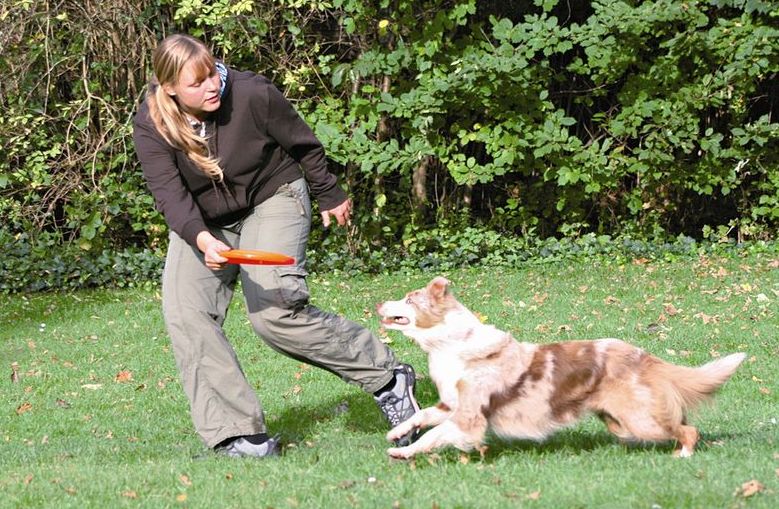 frisbee-caine