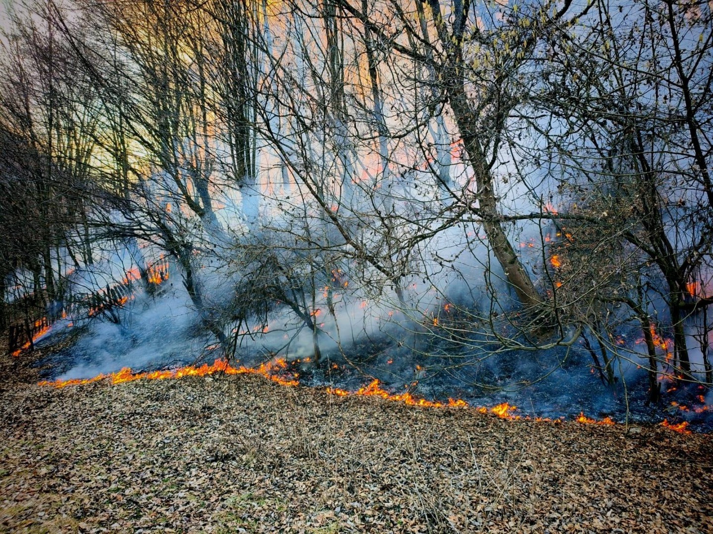 incendiu-hunedoara