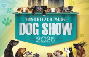 dog-show