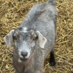 481196197_650392017574867_8219417633124992045_n