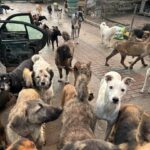 481455496_649381537675915_5864318629622402385_n