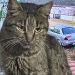 481995659_649972640950138_7079983555446045379_n