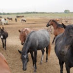 482302031_650174564263279_344266151014718617_n