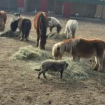 483486323_655722347041834_4942833105622781988_n