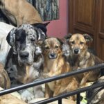 485357552_660880516526017_9134187231871900066_n