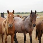 486226891_663552292925506_8149921305899584899_n