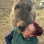 486641414_665567466057322_1081452730364243338_n