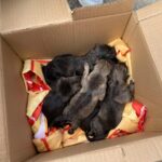 487412226_1082922283873746_8192020034588408490_n