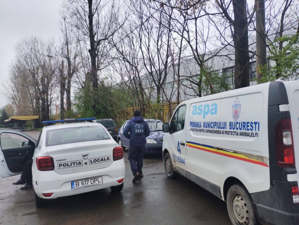 Un echipaj ASPA București, la intervenție în Capitală, alături de un echipaj al Poliției Locale.