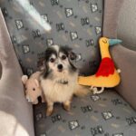 489355429_678600424754026_1900999368360116740_n