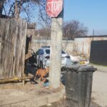 489550649_1012230217728782_3972032766931801389_n