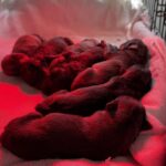 489840126_1082922287207079_8917531262933046951_n