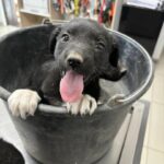 491971796_679870234627045_6931918338257180760_n