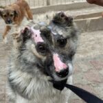 492095882_679882914625777_5389554424835895384_n