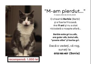 Anunțul dispariției pisicii Barbie, afiș
