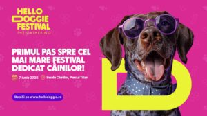 Afișul Festivalului Hello Doggie
