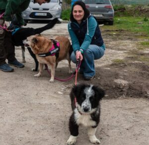 Luna salvata de familia Dumitrescu