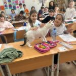 WhatsApp Image 2025-04-08 at 17.08.56 (2)